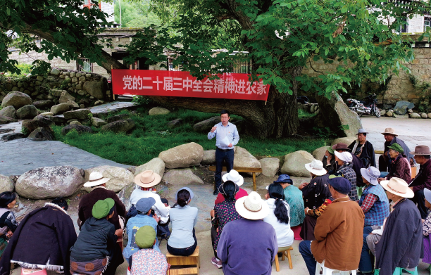2024年7月23日，在四川省甘孜州稻城縣香格裡拉鎮熱光村的百年核桃樹下，瀘州幫扶 稻城工作隊領隊向當地群眾宣講黨的二十屆三中全會精神。