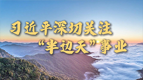 习近平深切关注“半边天”事业