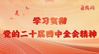 学习贯彻党的二十届四中全会精神