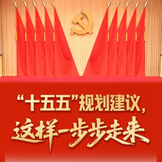 “十五五”规划建议，这样一步步走来