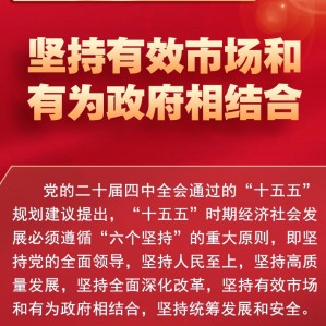 “十五五”规划建议·学习书签丨坚持有效市场和有为政府相结合
