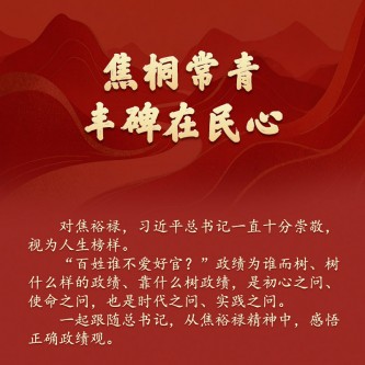 焦桐常青，丰碑在民心